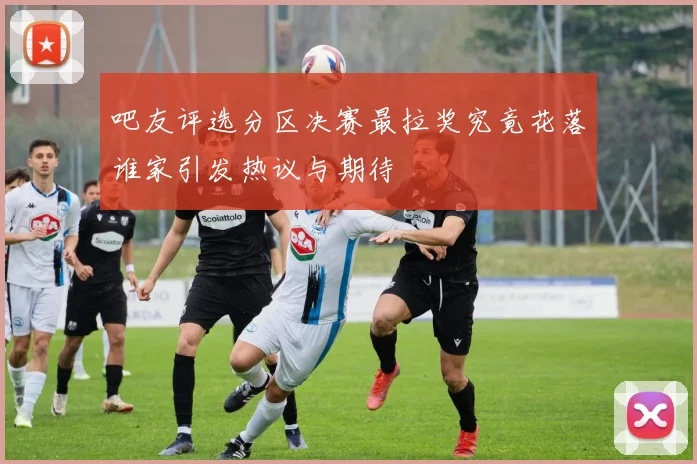 吧友评选分区决赛最拉奖究竟花落谁家引发热议与期待